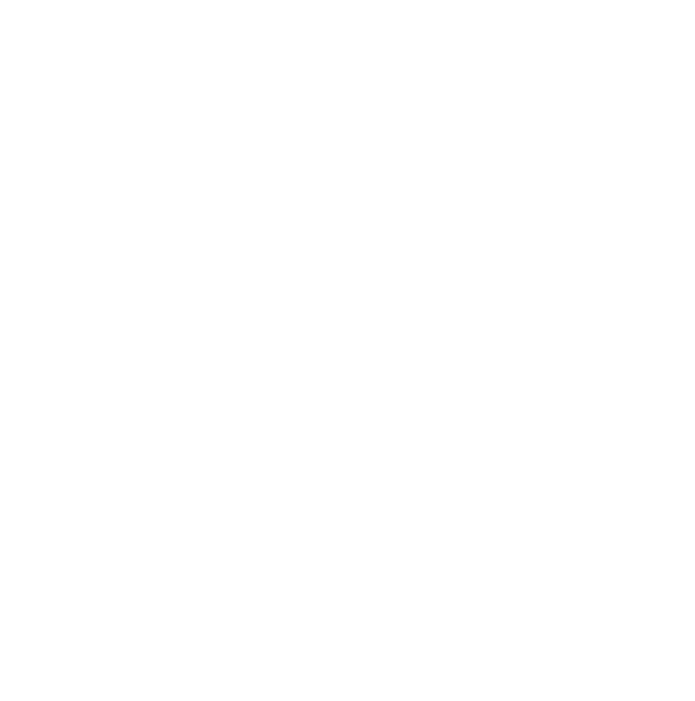 SS Endurance logo